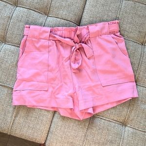 Cisono Pink High Waisted Shorts Size Large